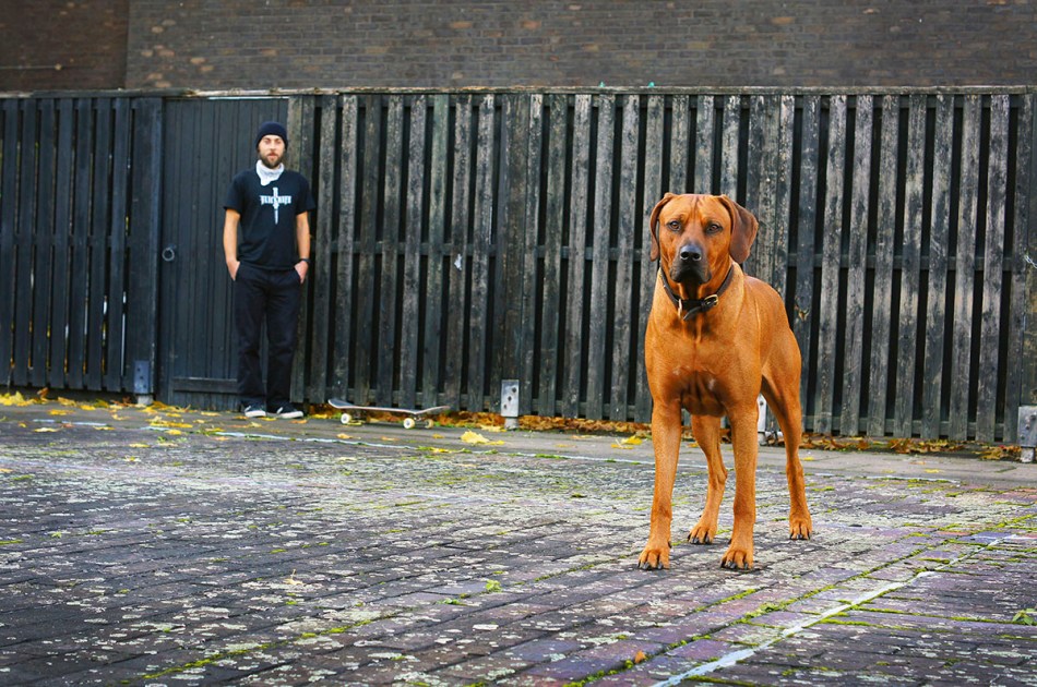 adam johners johns flicknife clothing for skateboarding london dog